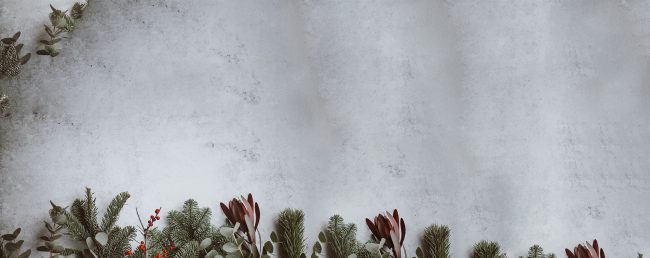 dc-chr-background
